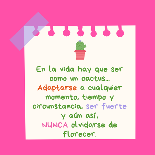Cactus handmade