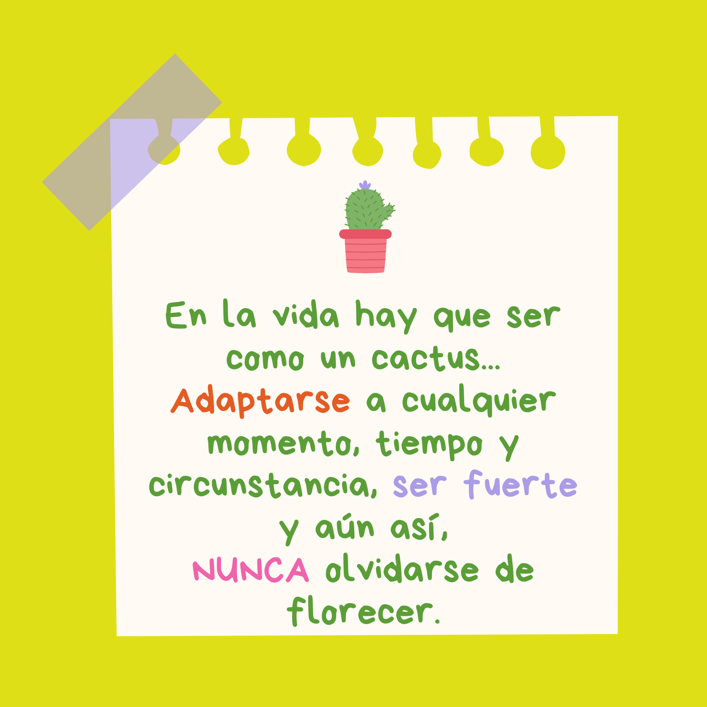 Cactus handmade