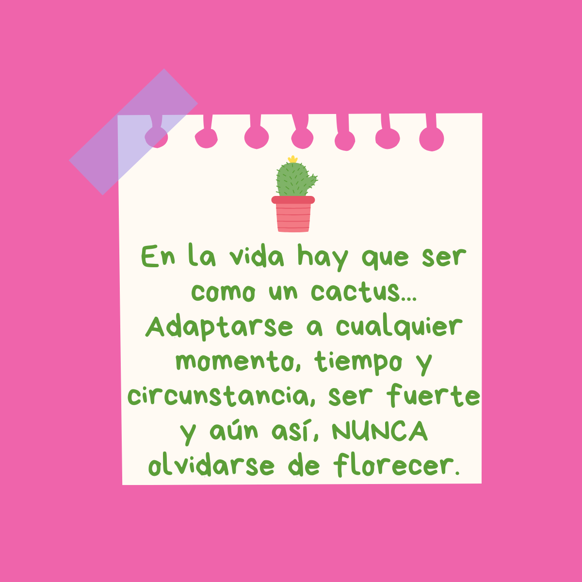 Cactus handmade